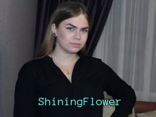 ShiningFlower