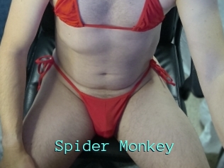 Spider_Monkey