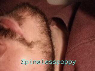 Spinelesspoppy