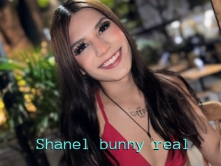 Shanel_bunny_real