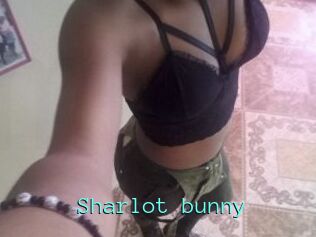 Sharlot_bunny