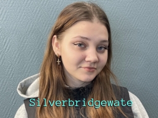 Silverbridgewate