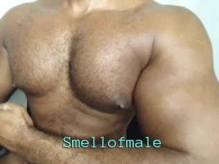 Smellofmale