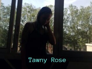 Tawny_Rose