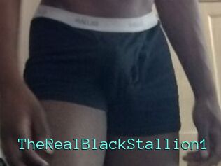 TheRealBlackStallion1