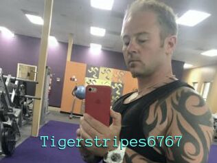 Tigerstripes6767