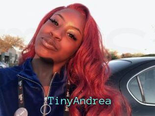 TinyAndrea