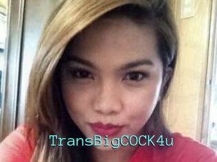 TransBigCOCK4u