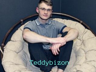 Teddybizon