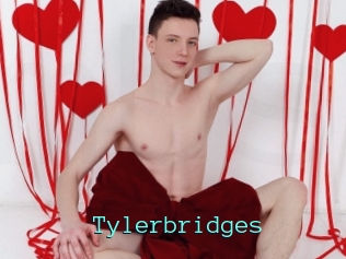 Tylerbridges