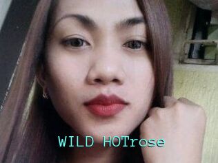 WILD_HOTrose