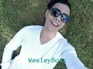 Wesley_Boix