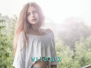 Wild_CatX