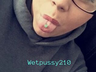 Wetpussy210