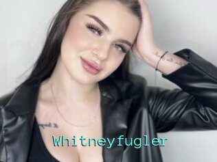 Whitneyfugler