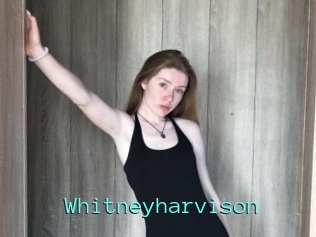 Whitneyharvison