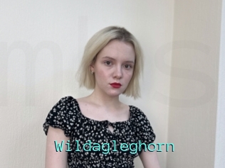 Wildagleghorn