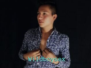 Wildboysex