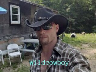 Wildcowboy