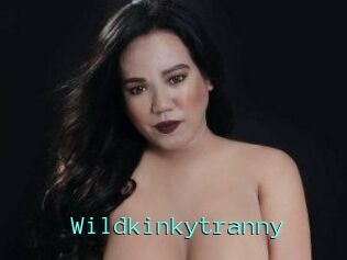 Wildkinkytranny