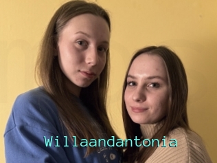 Willaandantonia